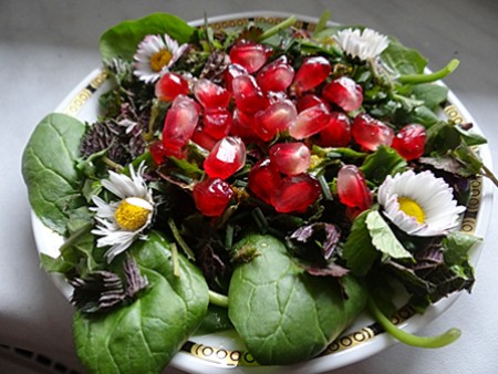 essbare Blüten
