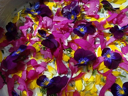 essbare Blüten