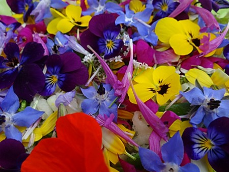 essbare Blüten