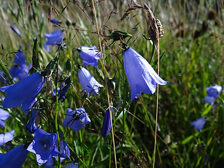 Mägede Talu - Hof der Hügel