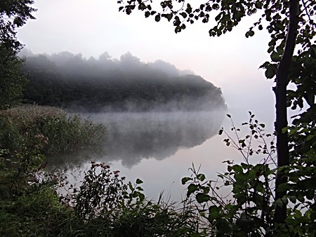 Nebel über dem Großen Zechliner See